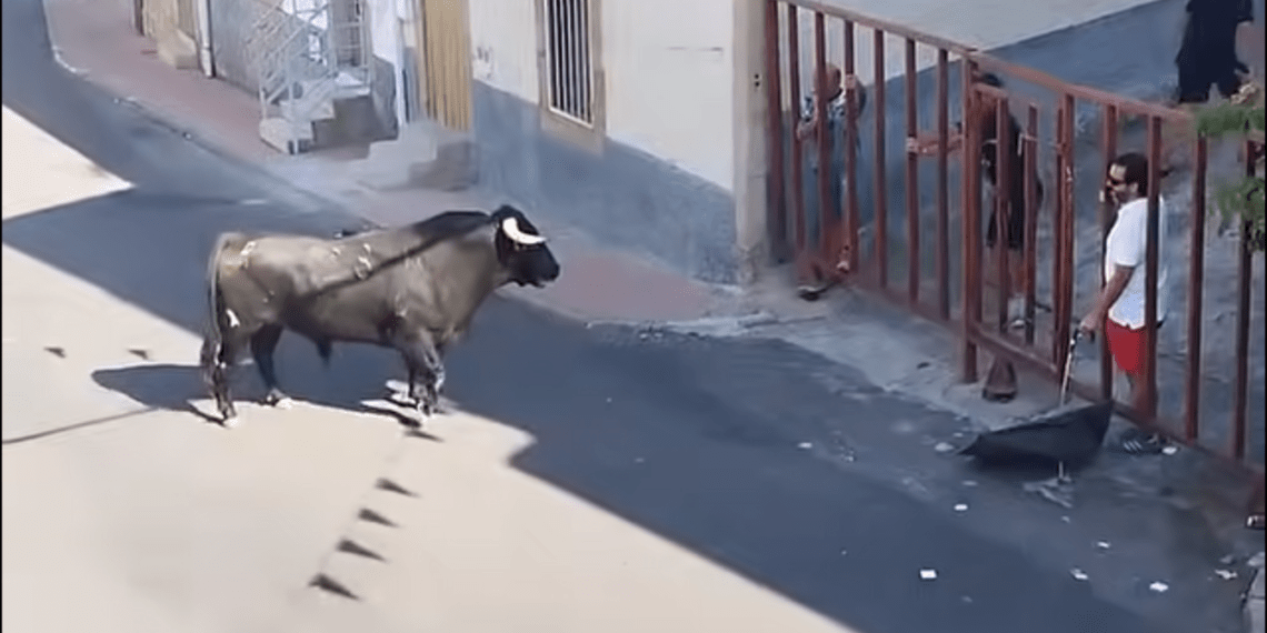 Fallece la mujer de 91 años embestida por un toro que se escapó del recorrido en el encierro de Villarino de los Aires