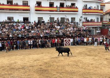 VÍDEO | Así fue el primer encierro y capea de las fiestas de Arganda del Rey con toros de distintas ganaderías