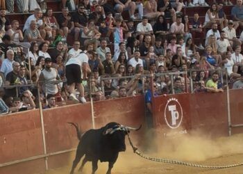 Complicada noche en Yuncos: el toro de Gerardo Ortega no completa el recorrido tras una suelta llena de dificultades