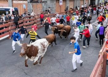 VÍDEO | Así ha sido el cuarto encierro de las fiestas de Guadalajara con toros de la ganadería de Román Sorando
