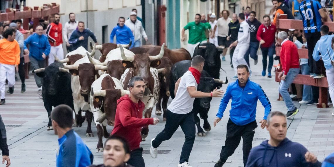 VÍDEO | Dos corredores heridos por contusiones, uno volteado de manera impactante, en el segundo encierro de las fiestas de Guadalajara
