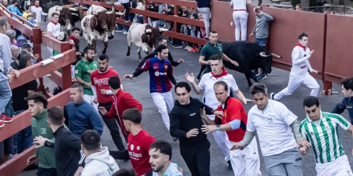 VÍDEO | Así ha sido el tercer encierro de las fiestas de Guadalajara con toros de la ganadería de José Vázquez