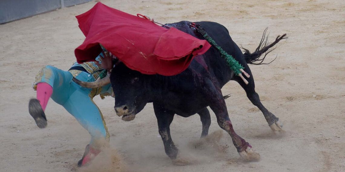 Grave cornada al novillero Jesús Romero en Calasparra: 30cm en el muslo derecho y pronóstico grave