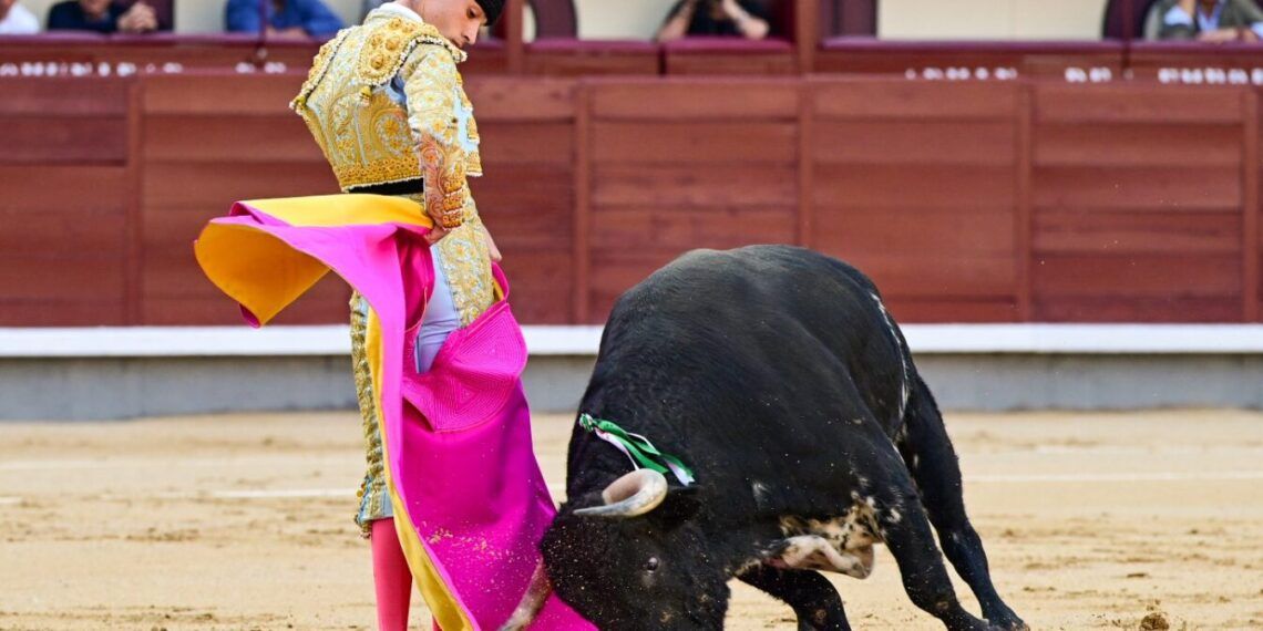 VÍDEO | En resumen, la novillada de El Retamar en la Feria de Otoño 2026 en Las Ventas