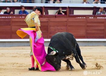 VÍDEO | En resumen, la novillada de El Retamar en la Feria de Otoño 2026 en Las Ventas