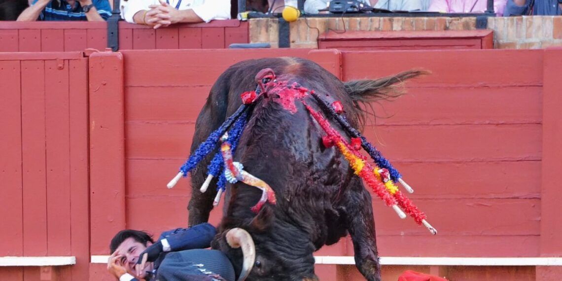 La Maestranza de Sevilla cierra su temporada con un festival a a beneficio de La Estrella y Autismo Sevilla: triunfo de Talavante, que cae herido grave