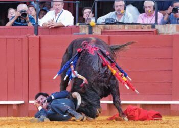 La Maestranza de Sevilla cierra su temporada con un festival a a beneficio de La Estrella y Autismo Sevilla: triunfo de Talavante, que cae herido grave