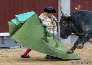 VÍDEO | En resumen, la importante corrida de Adolfo Martín en Las Ventas: triunfal tarde de Ferrera y Román, a hombros