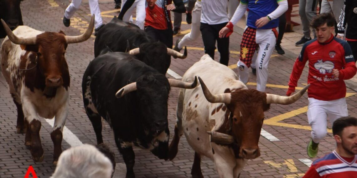 Cuenta atrás para el inicio de la temporada taurina: esta es la fecha para los encierros blancos 2027 en San Sebastián de los Reyes