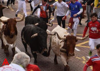 Cuenta atrás para el inicio de la temporada taurina: esta es la fecha para los encierros blancos 2027 en San Sebastián de los Reyes
