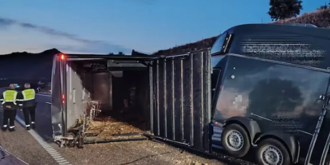 El camión que transportaba los caballos del rejoneador Diego Ventura tras torear en Zaragoza sufre un accidente en la carretera: dos caballos en estado grave