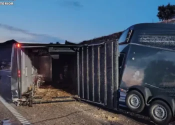 El camión que transportaba los caballos del rejoneador Diego Ventura tras torear en Zaragoza sufre un accidente en la carretera: dos caballos en estado grave