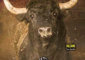 VÍDEO | Así son los toros para la gran final del Campeonato de España de Recortadores en Las Ventas