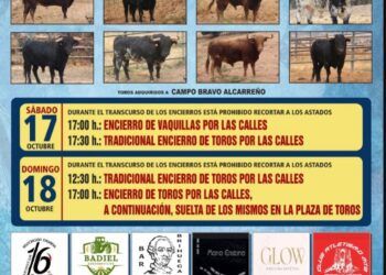 Brihuega celebrará este fin de semana sus tradicionales encierros de las Ferias de Octubre: así son los ocho toros reseñados