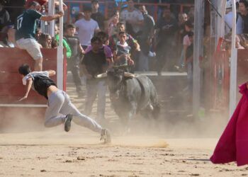 Un herido por asta de toro en el encierro con novillos de Cebada Gago en Mejorada del Campo