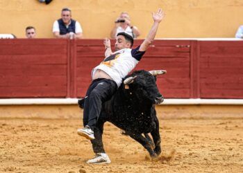 VÍDEO | «Zorrillo», adiós a los concursos tras 20 años y con el reconocimiento de compañeros y aficionados en Ávila