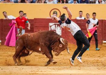 VÍDEO | «Rober» se proclama campeón en el concurso de recortadores de Ávila; «Zorrillo» dice adiós a los concursos ante su afición