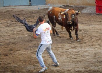 IMÁGENES | Arranca la Fira d’Onda 2026: un toro de Partido de Resina y otro de Sobral inauguran la festividad junto con los toros de las peñas
