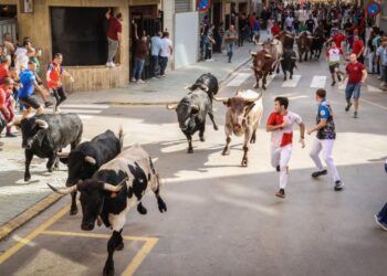 VÍDEO | Así ha sido el segundo encierro de la Fira d’Onda 2026 con toros de Veiga Teixeira