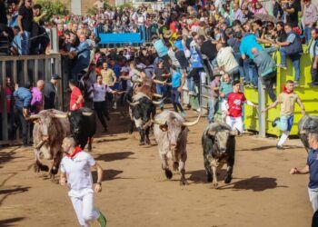 Los toros de La Quinta protagonizan un primer encierro ‘templado’ y vistoso en la Fira d’Onda, y dejando un corneado