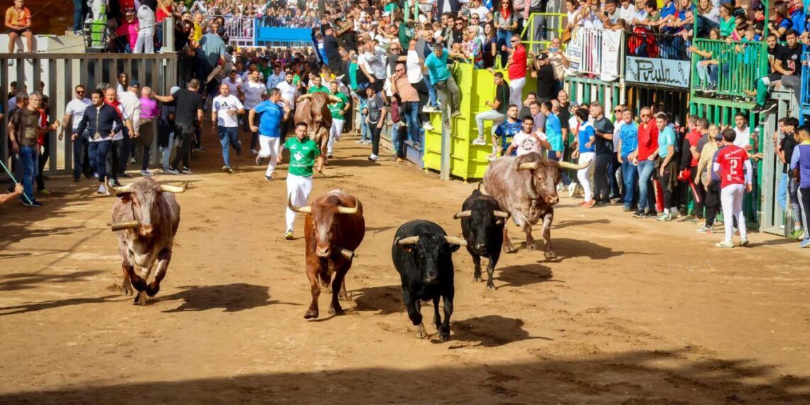 VÍDEO | Así ha sido el segundo encierro de la Fira d’Onda 2026 con toros de Veiga Teixeira