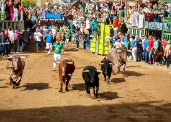 VÍDEO | Así ha sido el segundo encierro de la Fira d’Onda 2026 con toros de Veiga Teixeira