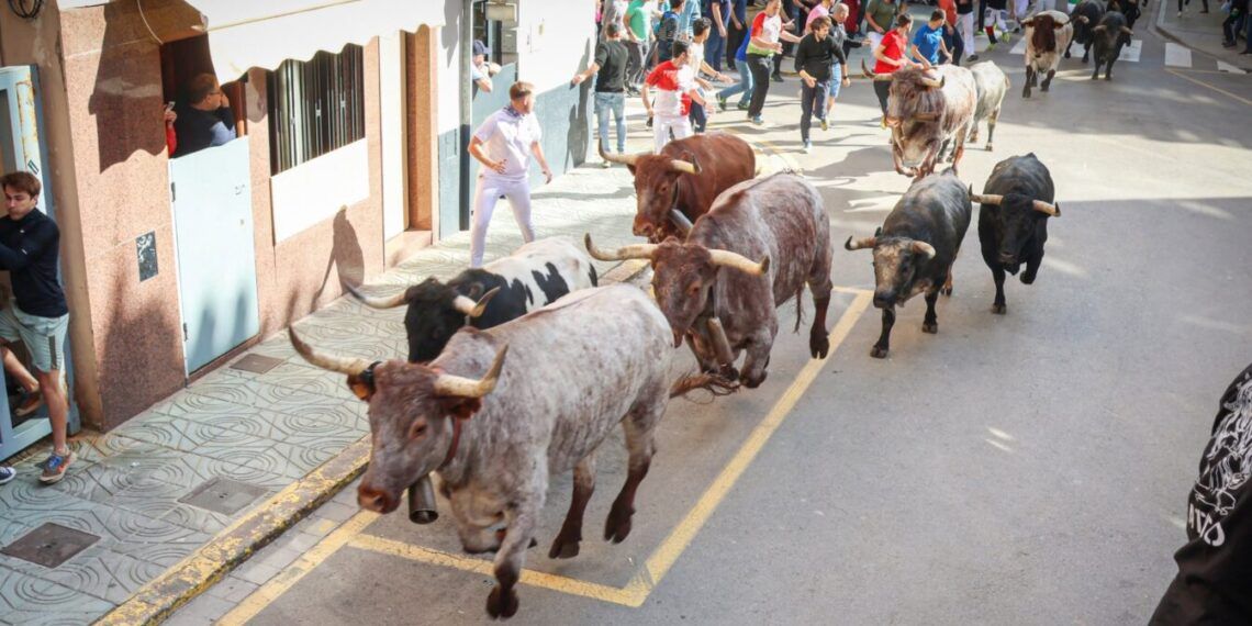 Los toros de La Quinta protagonizan un primer encierro ‘templado’ y vistoso en la Fira d’Onda, y dejando un corneado