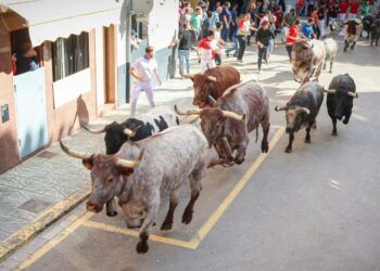 Los toros de La Quinta protagonizan un primer encierro ‘templado’ y vistoso en la Fira d’Onda, y dejando un corneado
