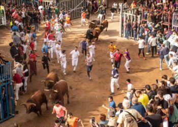 VÍDEO | Así ha sido el tercer encierro de la Fira d’Onda 2026 con toros de Santiago Domecq