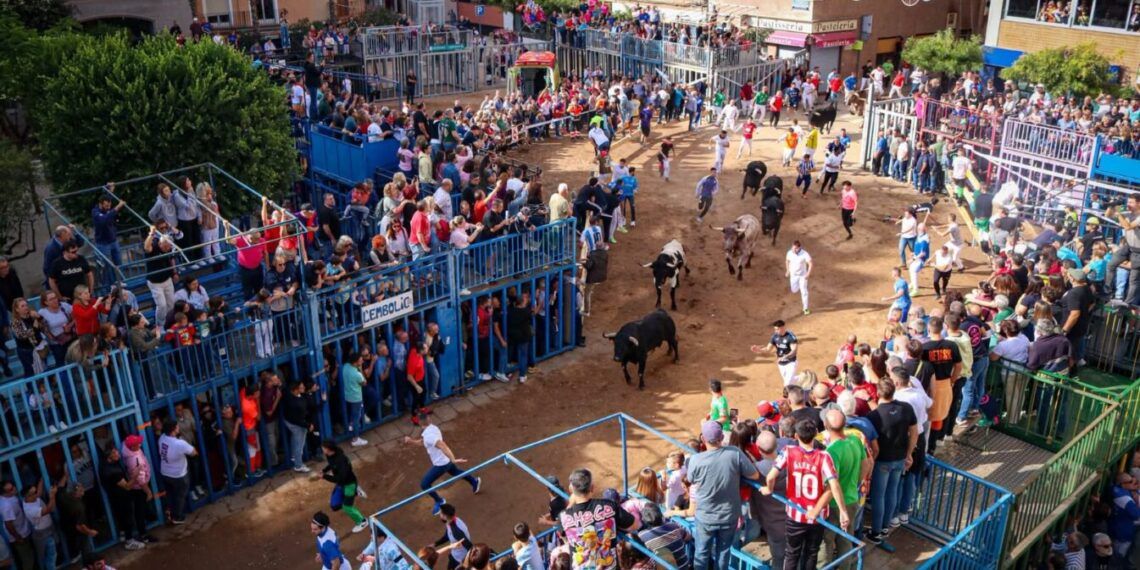 Un joven sufre una cogida durante la exhibición de uno de los toros de Veiga Teixeira en Onda