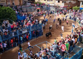 Un joven sufre una cogida durante la exhibición de uno de los toros de Veiga Teixeira en Onda