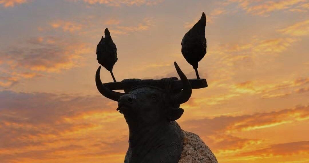 Medinaceli celebrará el Toro Jubilo el 14 de noviembre tras declararse como Bien de Interés Cultural