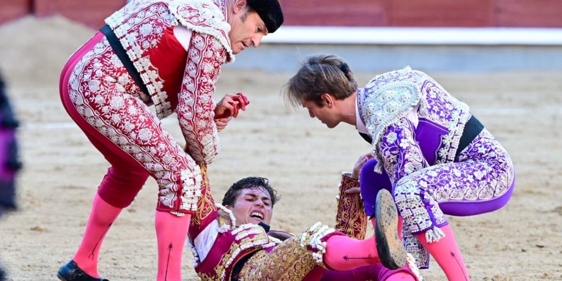 Álvaro Serrano cae herido en el tercer novillo de su encerrona en Madrid: a la enfermería y la novillada queda por el momento en manos de los sobresalientes