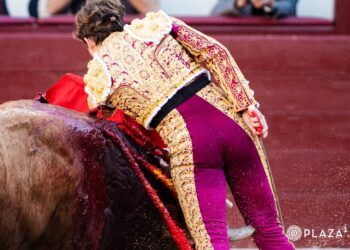 VÍDEO | Así ha sido la cogida a Álvaro Serrano, que le ha impedido continuar toreando en su encerrona en Las Ventas