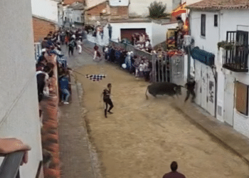 VÍDEO | Dos heridos leves en el primer encierro de Torres de la Alameda: peligrosísima y accidentada salida del toro de Cuadri
