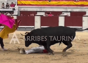 VÍDEO | El Peta y un extraordinario quite de Carpio: así se sobrepuso el campeón de España a un percance en la final