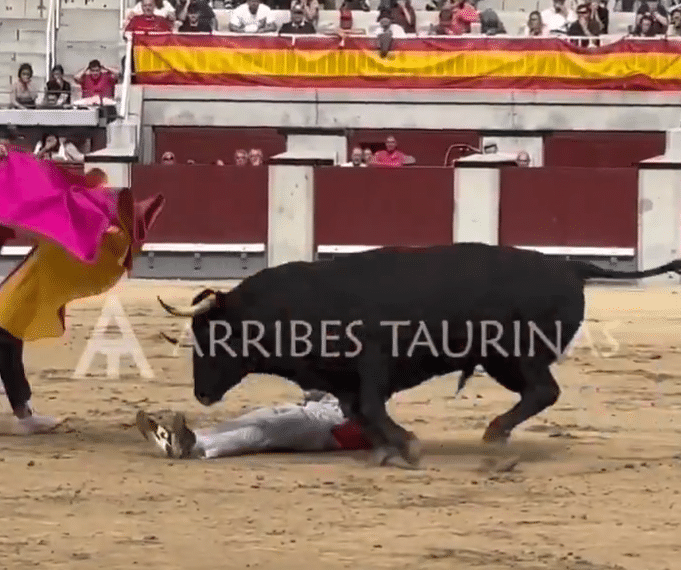 VÍDEO | El Peta y un extraordinario quite de Carpio: así se sobrepuso el campeón de España a un percance en la final