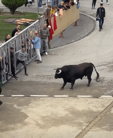 VÍDEO | Así fue el cuarto y último encierro urbano celebrado en Torres de la Alameda