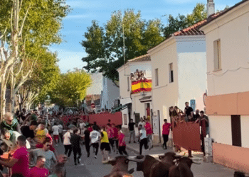 VÍDEO | Villanueva del Pardillo celebra el primer encierro de sus fiestas, que concluye con varios heridos tras un impactante percance