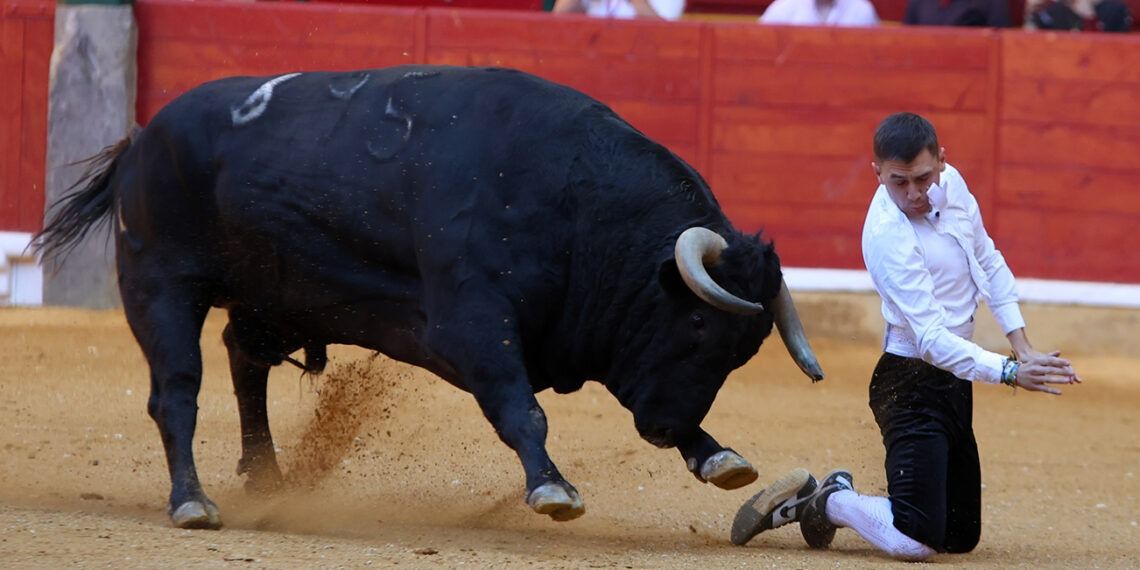 En vídeo, alguno de los mejores momentos del Campeonato Goyesco de Recortadores en Zaragoza