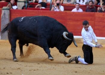 En vídeo, alguno de los mejores momentos del Campeonato Goyesco de Recortadores en Zaragoza