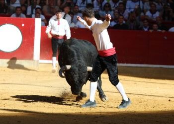 Mateo Martínez tras sufrir una grave cornada en Zaragoza: «Volveremos a vernos, se me quedó una cuenta pendiente, Zaragoza»