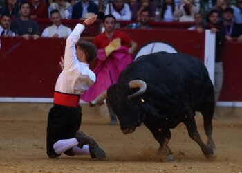 En vídeo, alguno de los mejores momentos del Campeonato Goyesco de Recortadores en Zaragoza