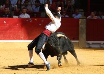 CLASIFICACIÓN | Así quedan las puntuaciones tras el concurso goyesco de recortadores de Zaragoza y las últimas fechas