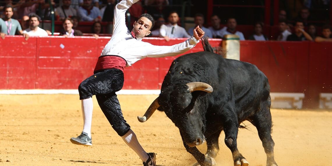 El Peta tras coronarse campeón en Zaragoza: «Tengo la suerte de haber ganado 5 veces y ojalá no sea la última»