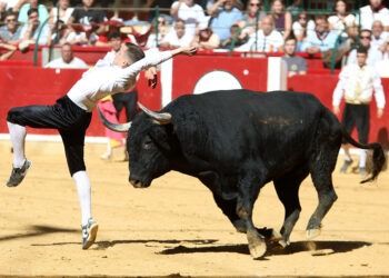 VÍDEO | Fernando Polo tras la cornada y su tercer puesto en Zaragoza: «Salí allí a disfrutar y (…) vimos las dos caras, la buena y la necesaria para valorar más al toro»