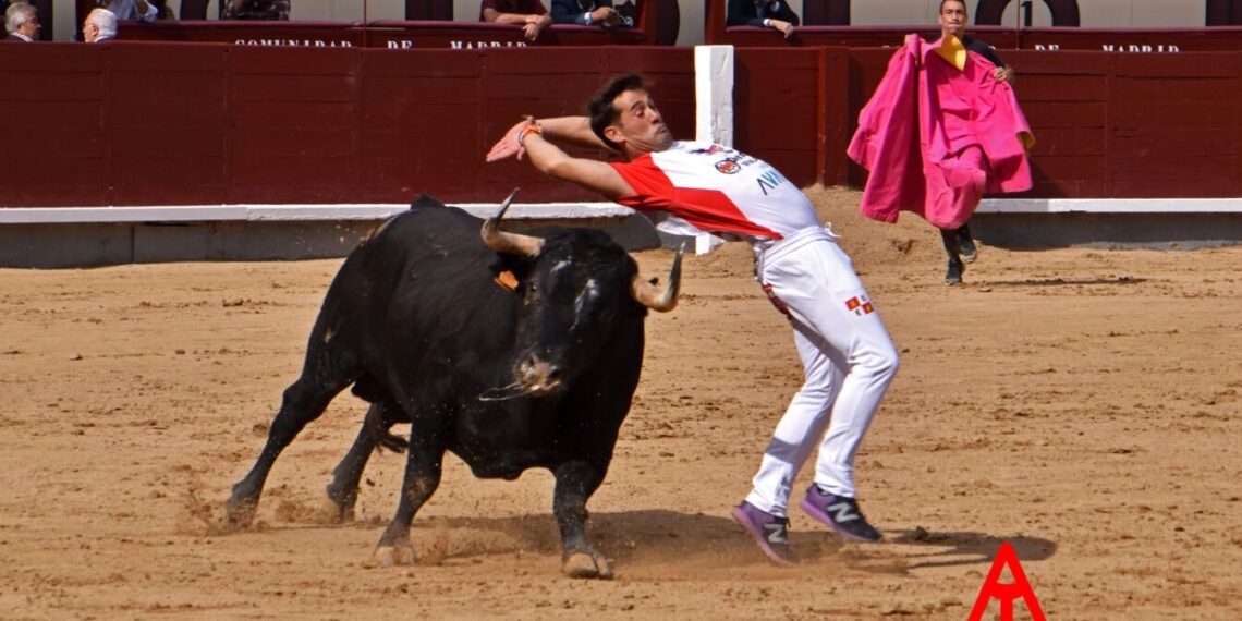 En vídeo, los mejores momentos de la gran final del Campeonato de España de Recortadores en Las Ventas