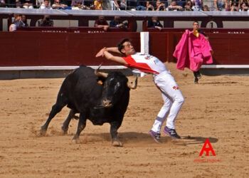 En vídeo, los mejores momentos de la gran final del Campeonato de España de Recortadores en Las Ventas
