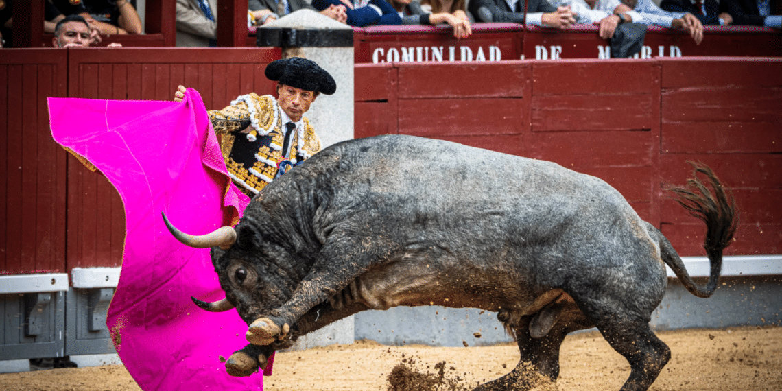 VÍDEO | En resumen, la interesante corrida de Victorino Martín en Las Ventas