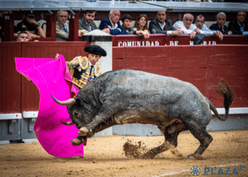 VÍDEO | En resumen, la interesante corrida de Victorino Martín en Las Ventas
